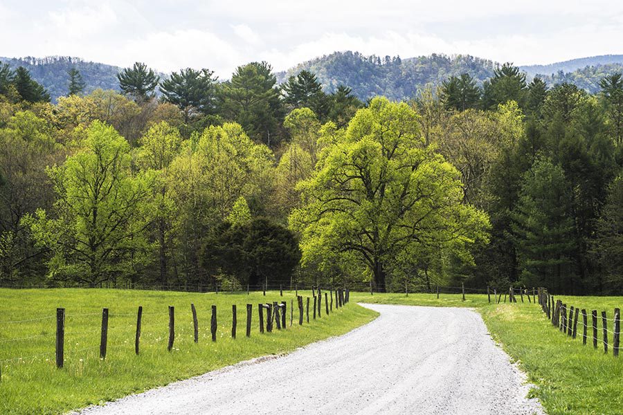 Spring Hill, TN Insurance - Dirt Path Lined With a Wire Fence, Green Pastures on Each Side, Leading Into Trees, Hills in the Background